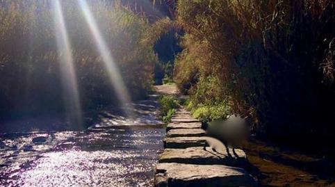 Photo 2 of Land to rent in Camí Arenes, Airesol, Barcelona