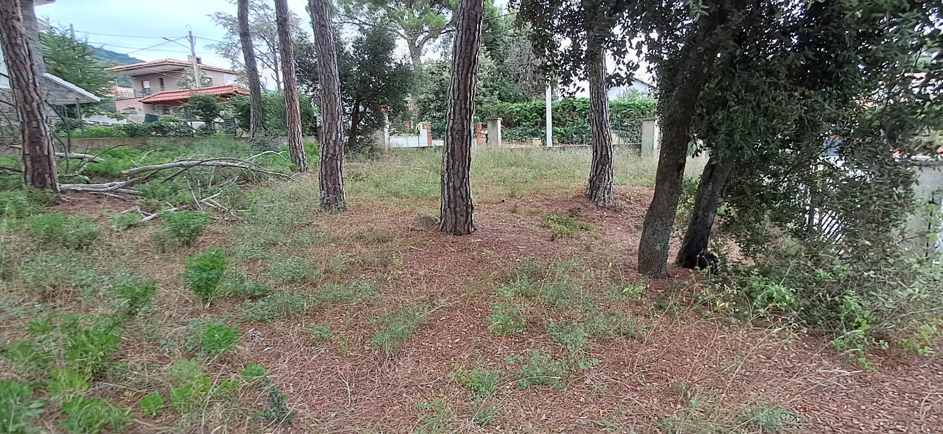 Wohnbaugrundstück zum Verkauf in Carrer de Girona, imagen 14