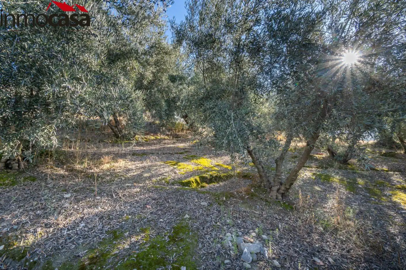 Finca rústica en venda a Polígono PARAJE DE LA HOYA, Güéjar Sierra