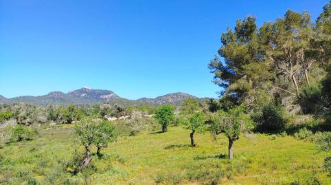 Photo 3 of Residential for sale in Polígono Polígono 33 Parcela 436, S'Horta - Cas Concos des Cavaller - Es Carritxó, Illes Balears