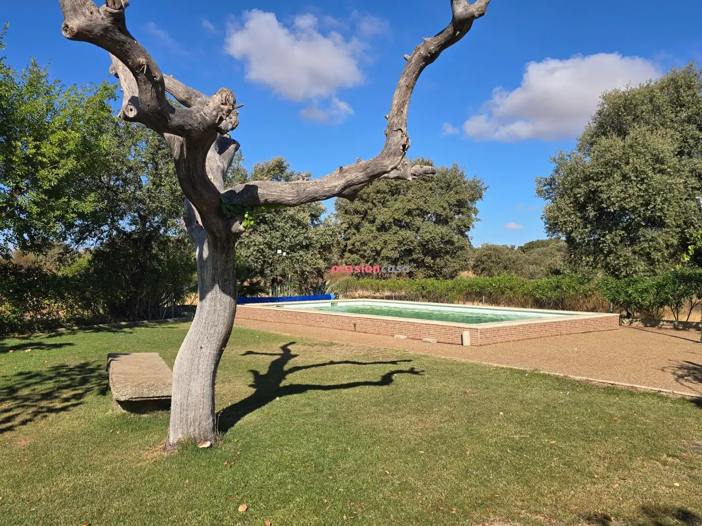 Piscina de Casa o xalet en venda en Alcaracejos amb Traster i Piscina