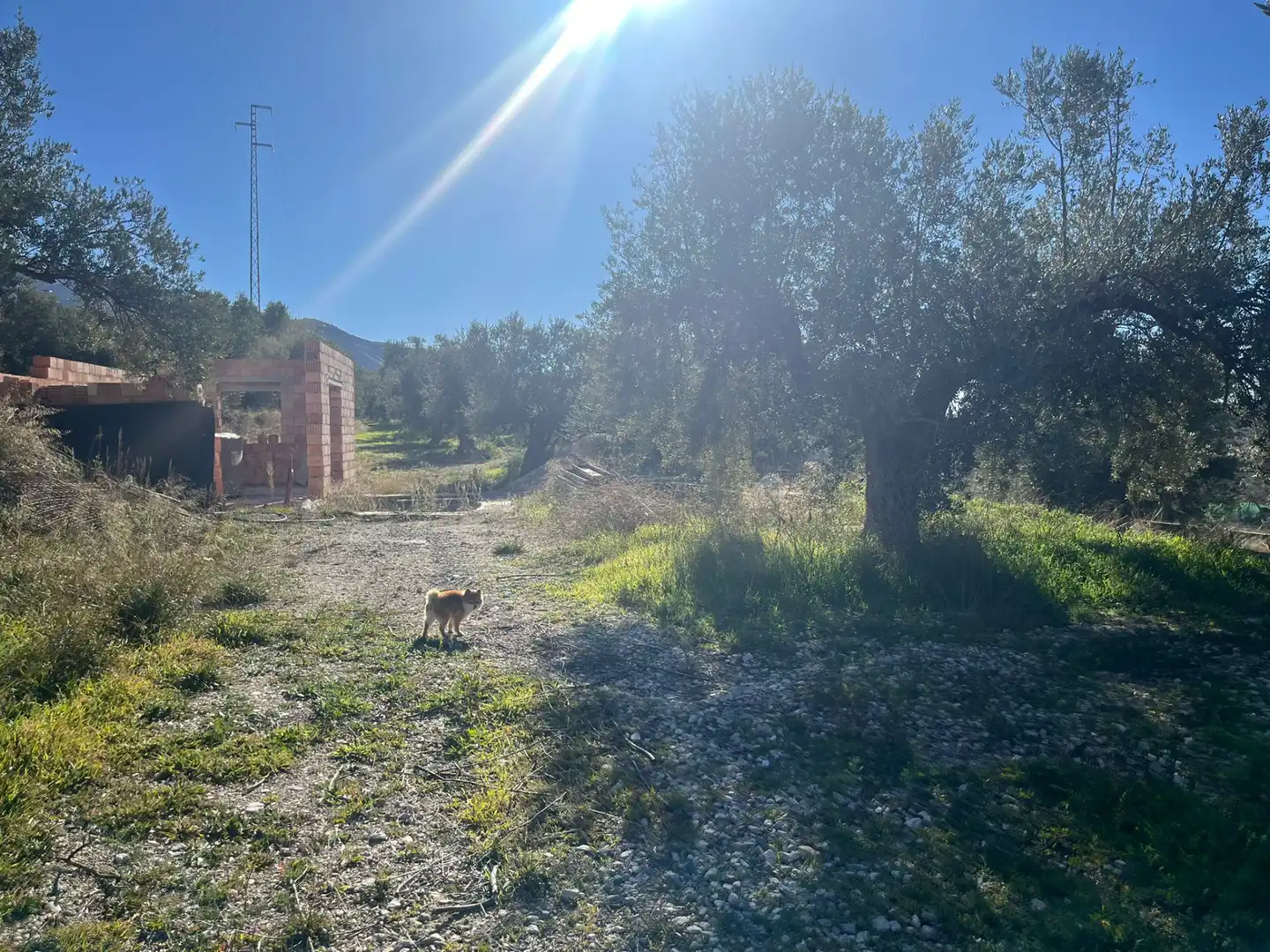 Rural land for sale in Calle Jose Saramago