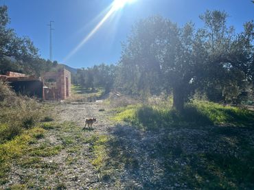 Terreno rustico in vendita a Calle Jose Saramago