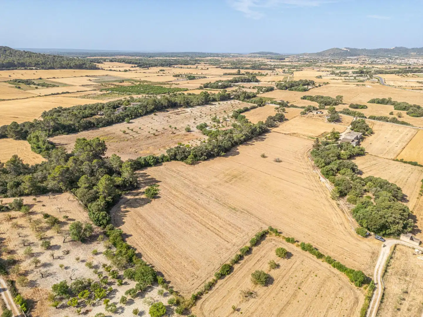 Terrain rustique à vendre à Diseminado Son Mora 199, imagen 8