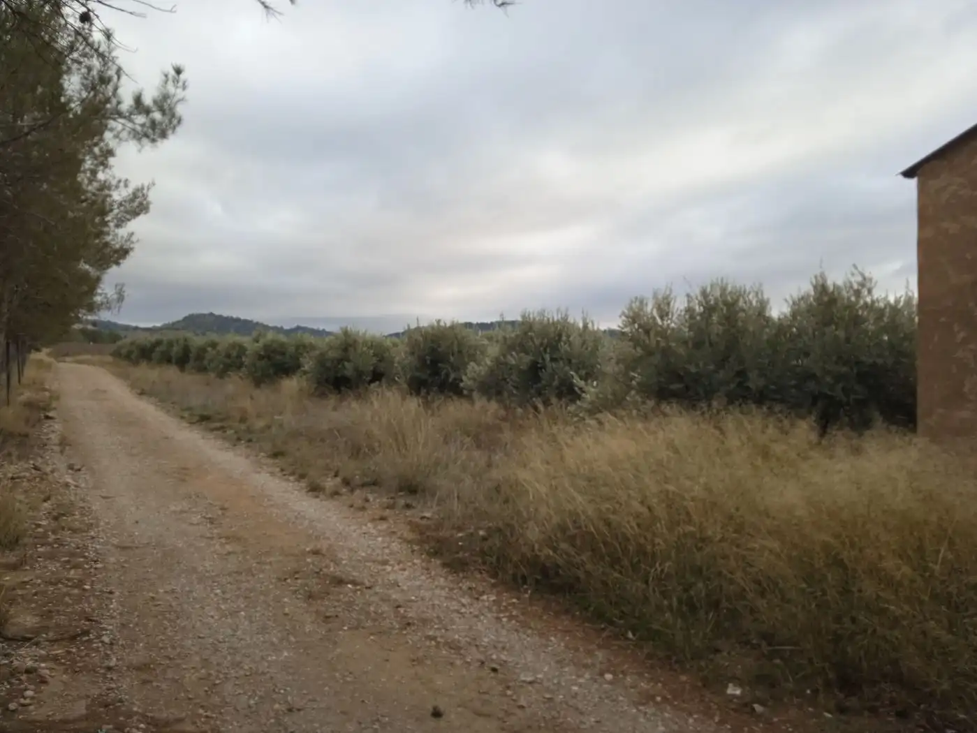 Casa in vendita a Guadix, imagen 32
