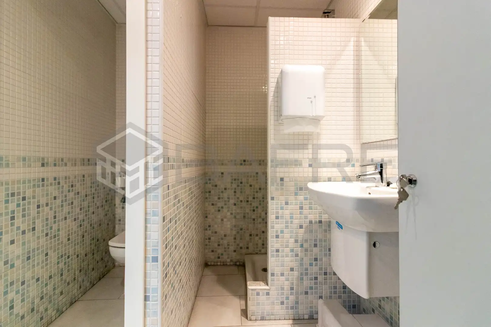 Bathroom of Commercial properties for sale in Madrid