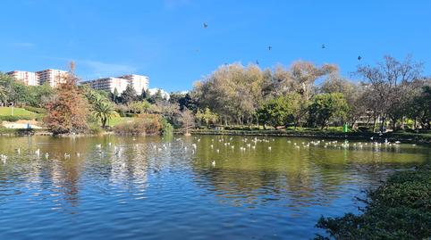 Photo 5 of Premises for sale in Av. Federico García Lorca, 7, 29630 Benalmádena, M, -1, Parque de la Paloma, Málaga