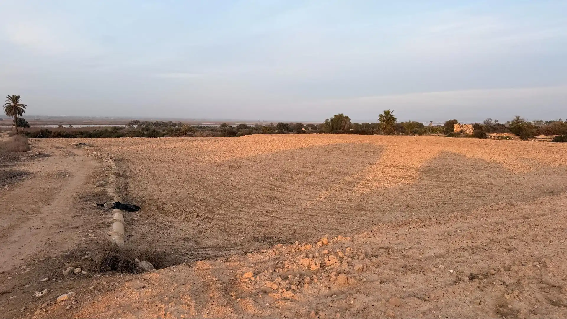 Terrain rustique à vendre à La Marina, imagen 16