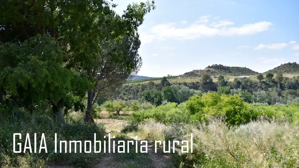 Casa rústica en venda a Caspe, imagen 18