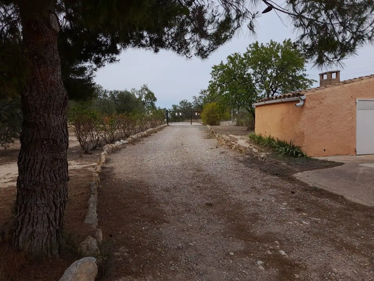 Country homes for sale in Garcia
