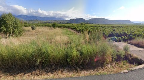 Finca de regadío, imagen 4