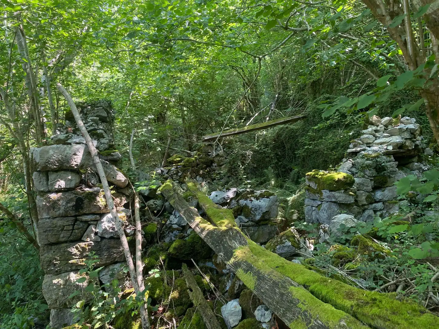 Terreno rustico in vendita a SEGÜENCO, imagen 11