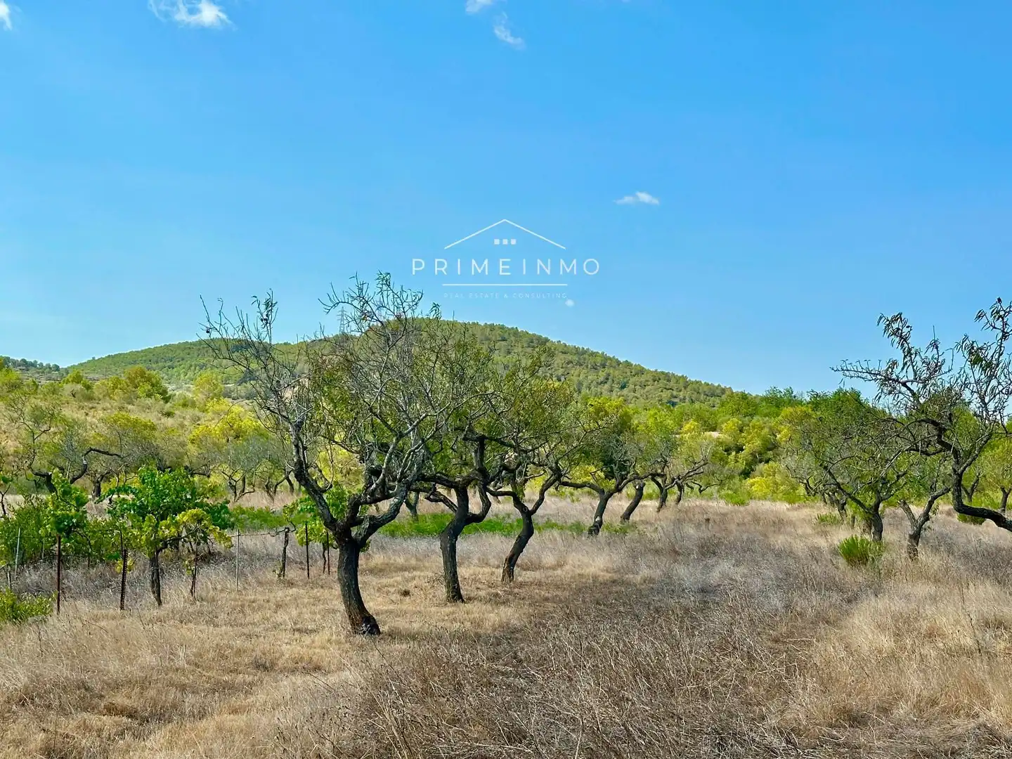Casa rústica en venta en El Perelló, imagen 24