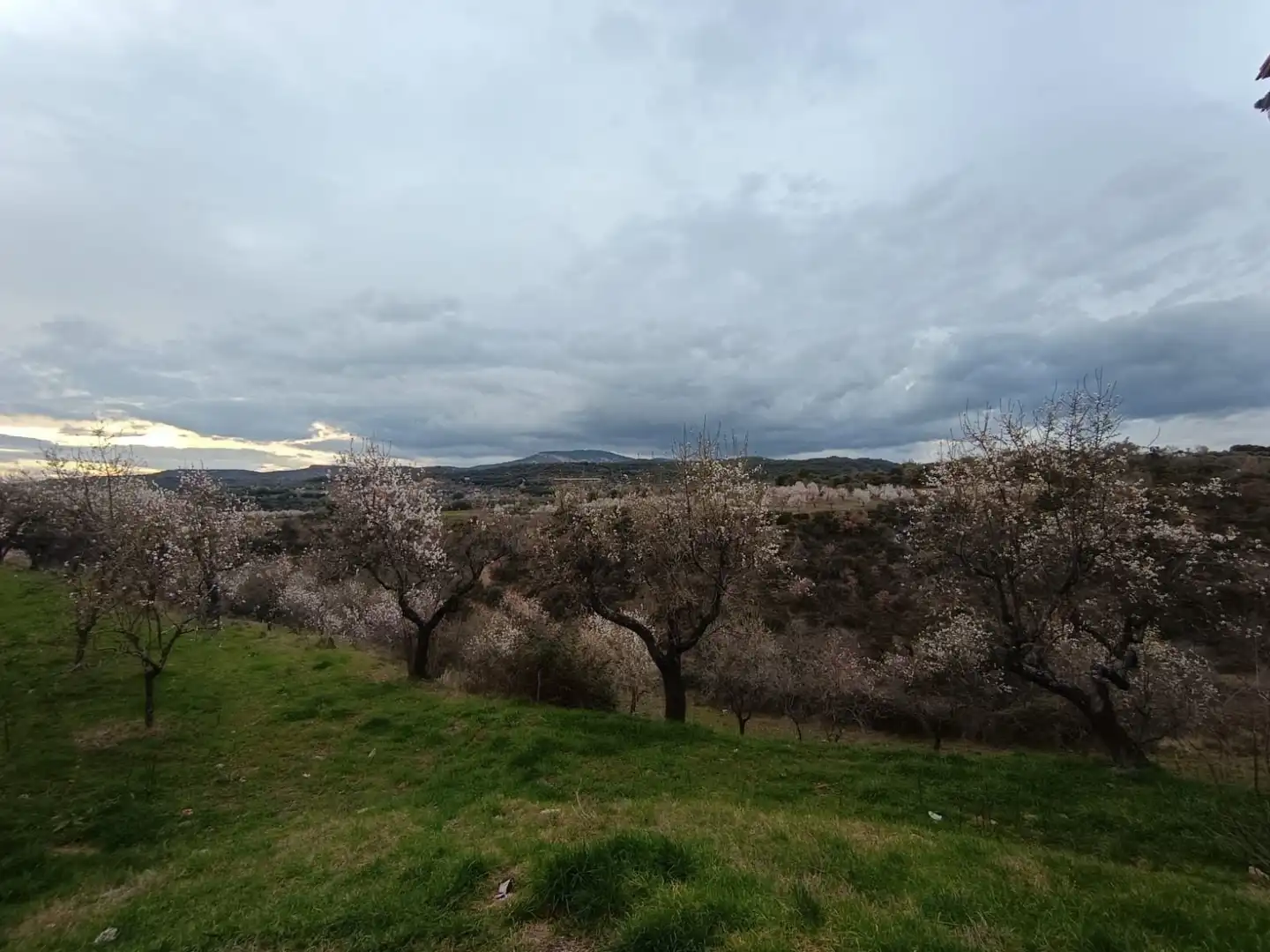 Jardín de Finca rústica en venta en Colungo con Calefacción, Terraza y Trastero