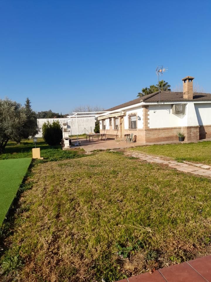 Garden of House or chalet for sale in  Córdoba Capital  with Private garden and Swimming Pool
