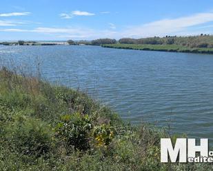 Building for sale in Almenara