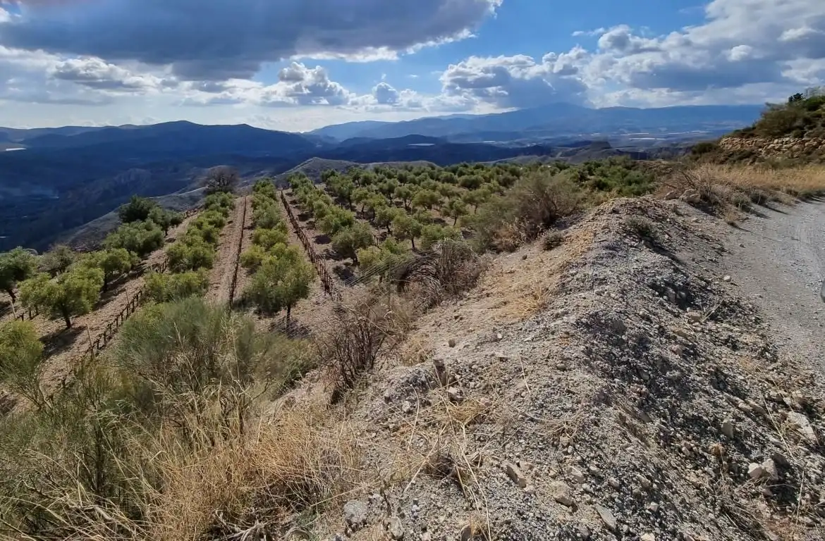 Terreni e lotti in vendita a Nevada, imagen 18