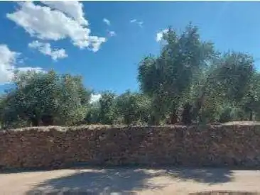 Land for sale in Beas de Segura, Jaén