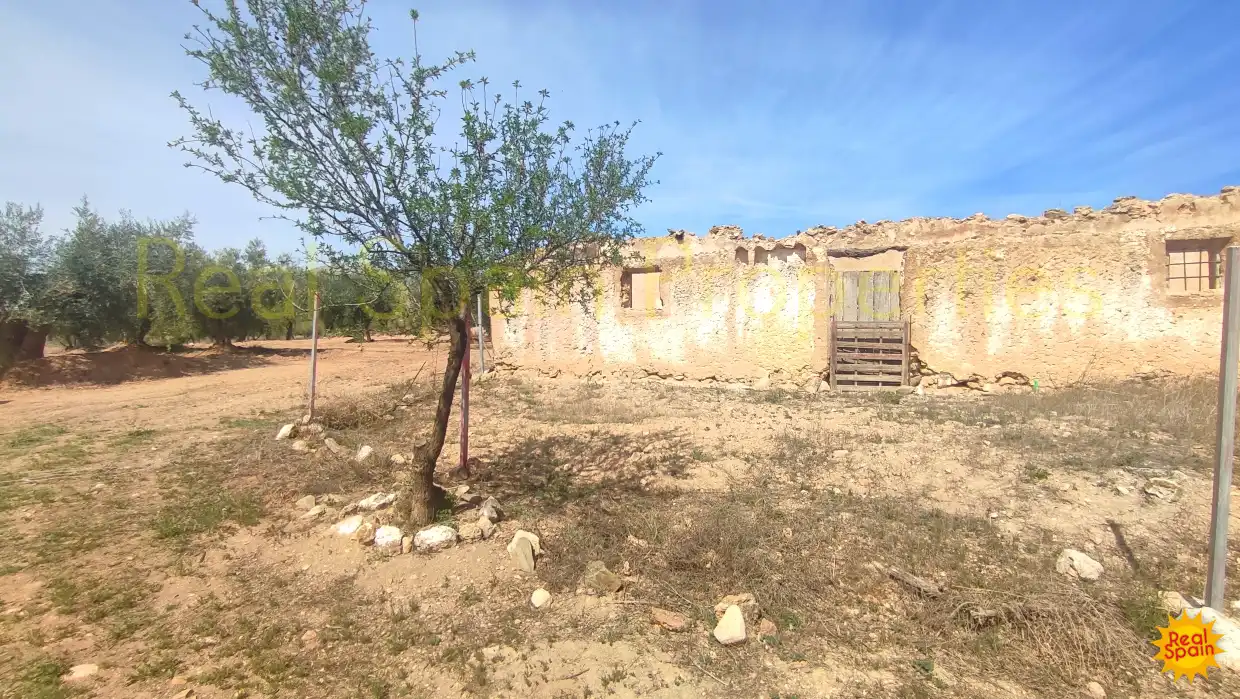Residential land for sale in Vélez-Rubio, imagen 4