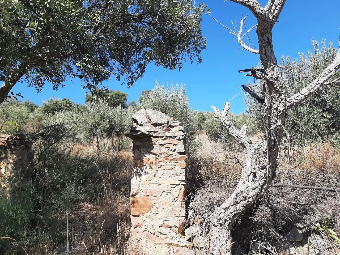 Terreni e lotti in vendita a Sierra de Fuentes, imagen 9