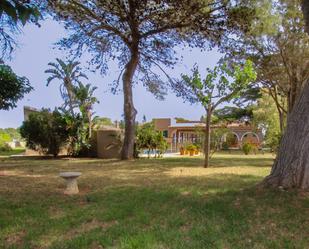 Garden of Country house for sale in Ciutadella de Menorca  with Air Conditioner and Swimming Pool