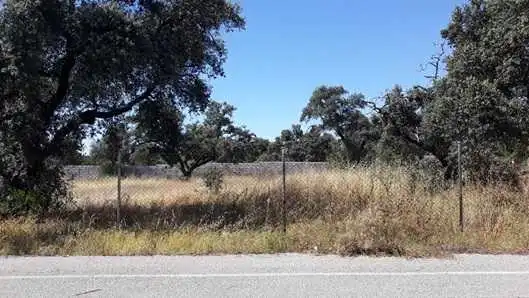 Terreny rústic en venda a C/ Cigueña -Urb Los Encinares de SanLucar-, imagen 7