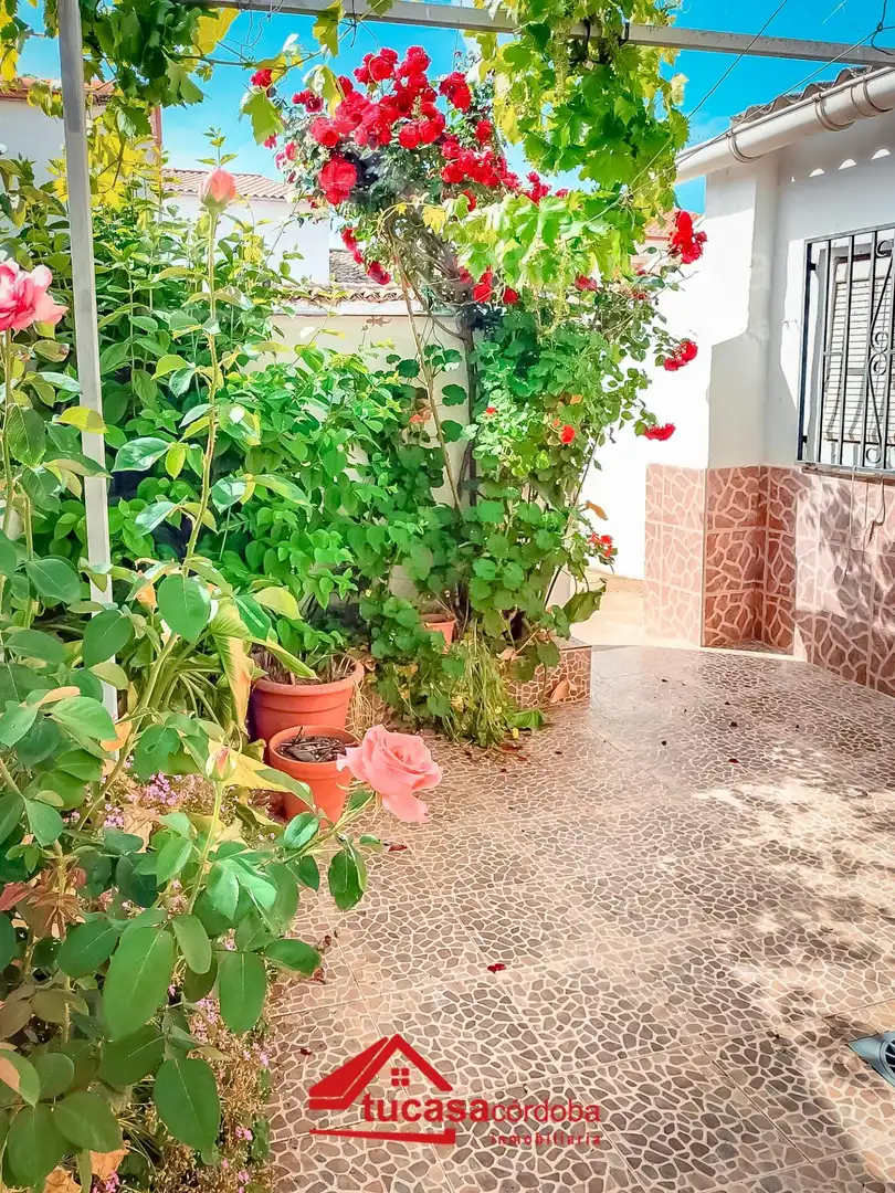 Maison à vendre à Fuente Obejuna