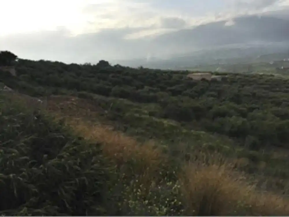 Terreni e lotti in vendita a Valtocado - La Alquería - La Atalaya, imagen 11