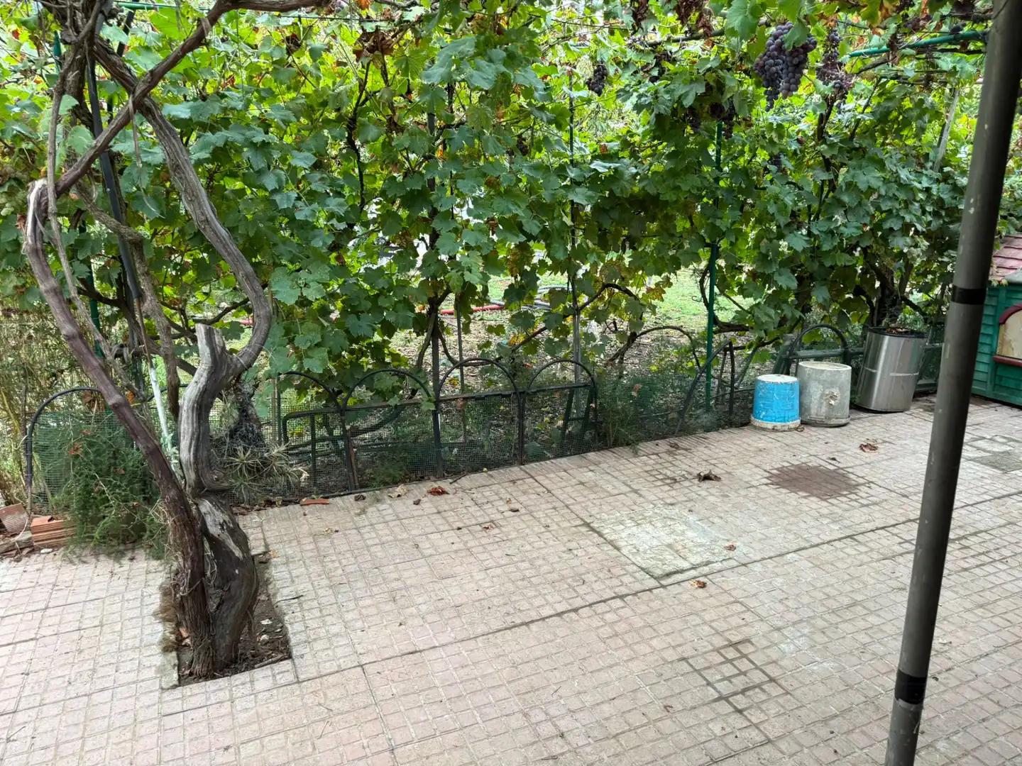 Jardín de Terreno en venta en Sabadell