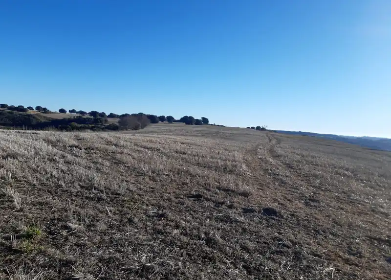 Land for sale in Alcalá de Henares