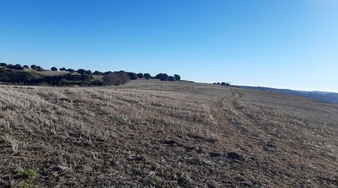 Photo 2 of Land for sale in Rinconada, Alcalá de Henares