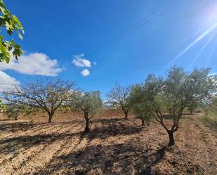 Casa o xalet en venda en Yecla