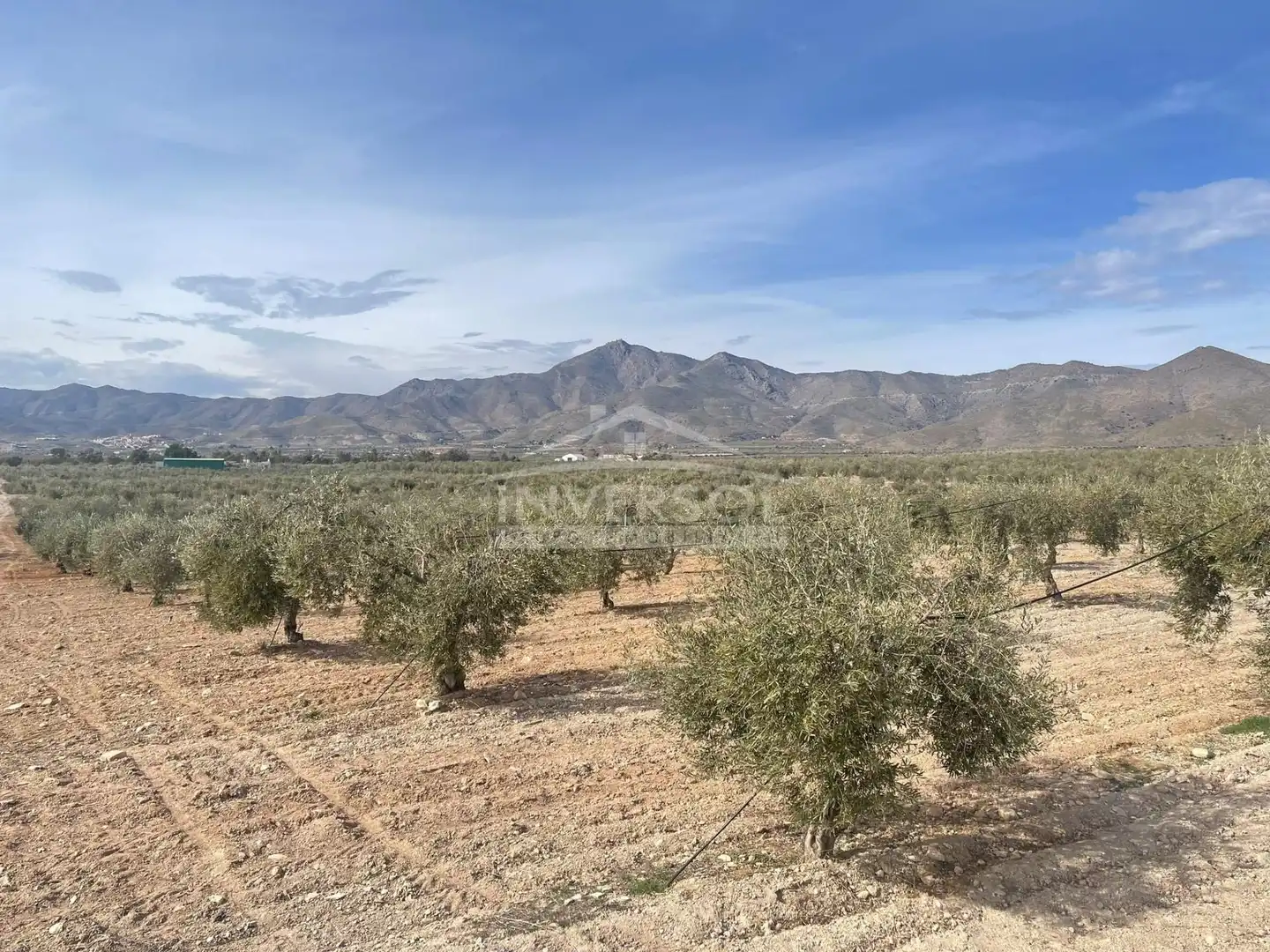 Terreno en venta en Uleila del Campo