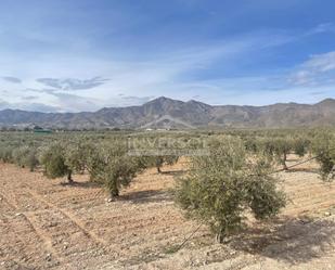 Grundstücke zum verkauf in Uleila del Campo