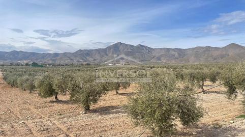 Foto 2 von Grundstücke zum Verkauf in Calle Monteagud, 3, Uleila del Campo, Almería