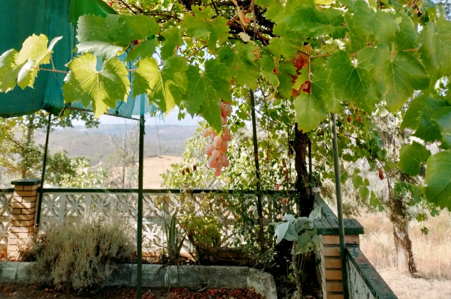 Garden of Country homes for sale in El Campillo (Huelva)  with Terrace and Furnished