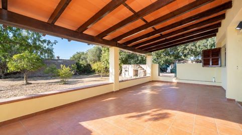 Foto 2 de Finca rústica en venta en Polígono Sencelles, Sencelles, Illes Balears