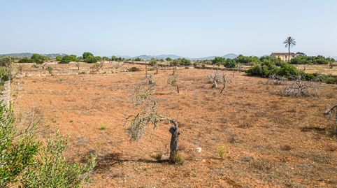 Photo 2 of Residential for sale in S'Illot - Cala Morlanda, Manacor