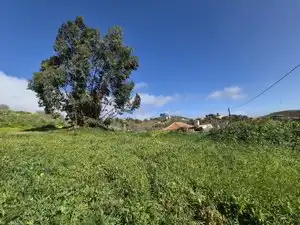 Finca rústica en venta en El Rosario con Jardín privado, Terraza y Trastero