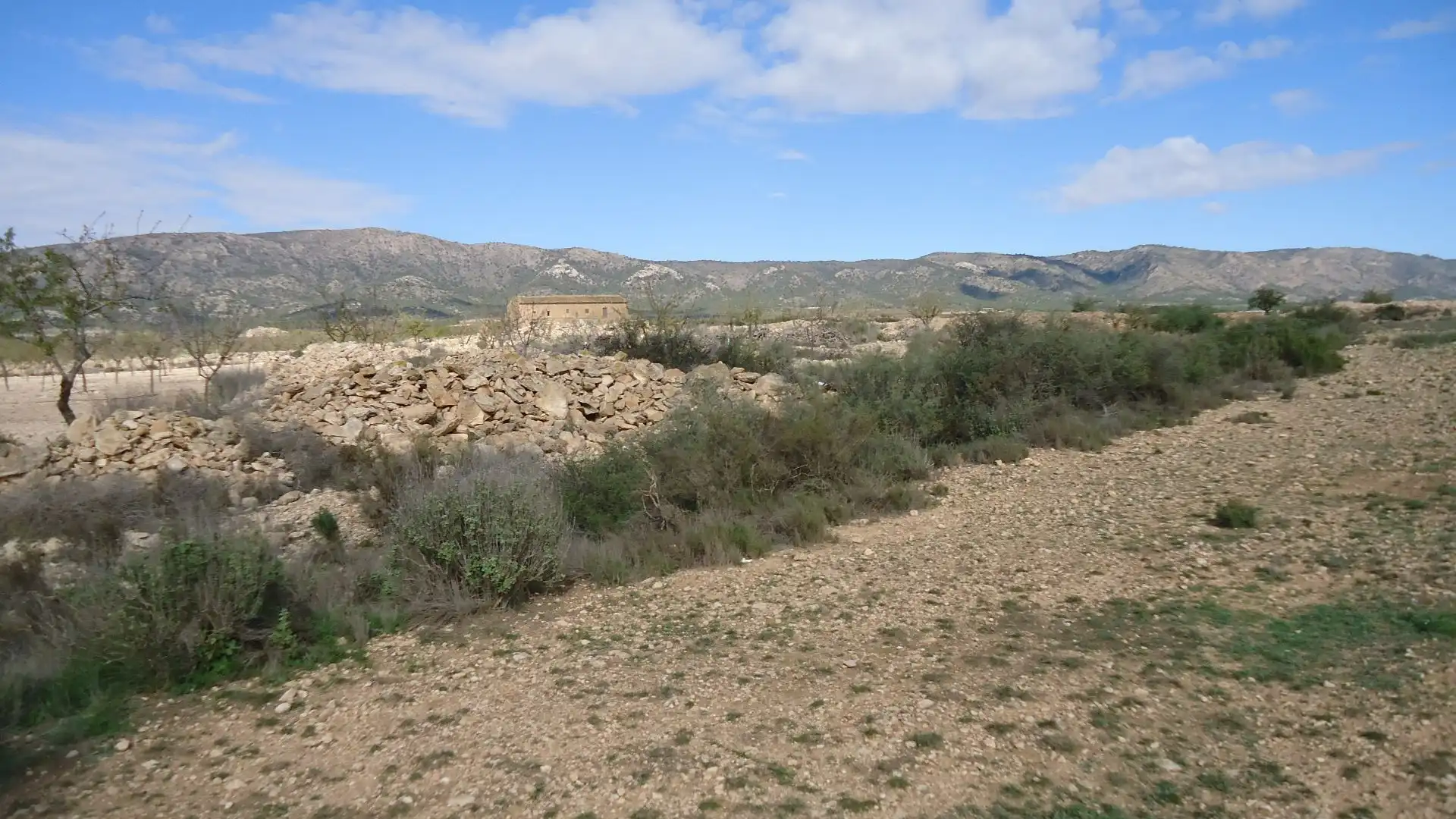 Terreno rústico en venta en El Pinós / Pinoso, imagen 4