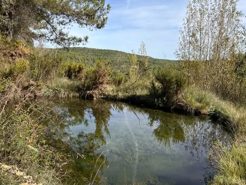 Country homes for sale in Enguera