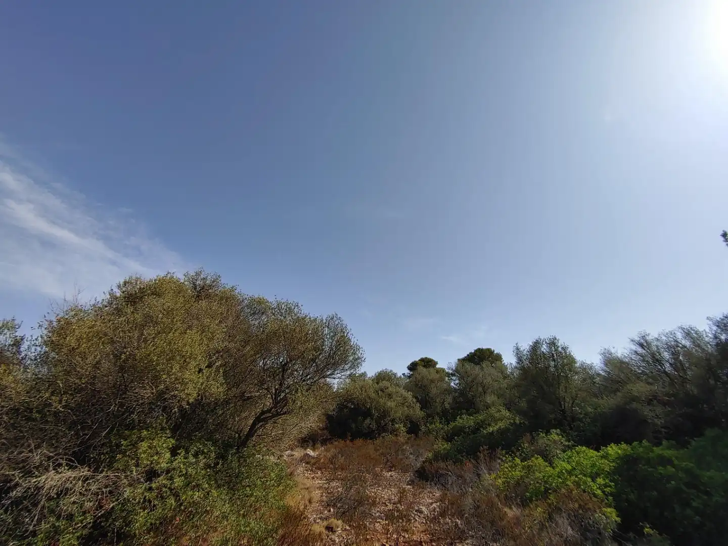 Residencial en venta en Polígono Parcela 12, Cala Pi - Vallgornera