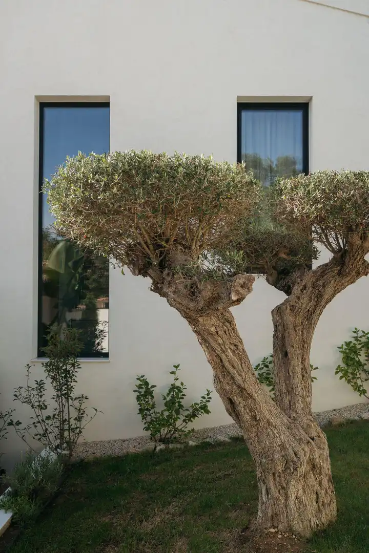Jardí de Casa o xalet en venda en Benitachell / El Poble Nou de Benitatxell amb Aire condicionat, Jardí privat i Traster