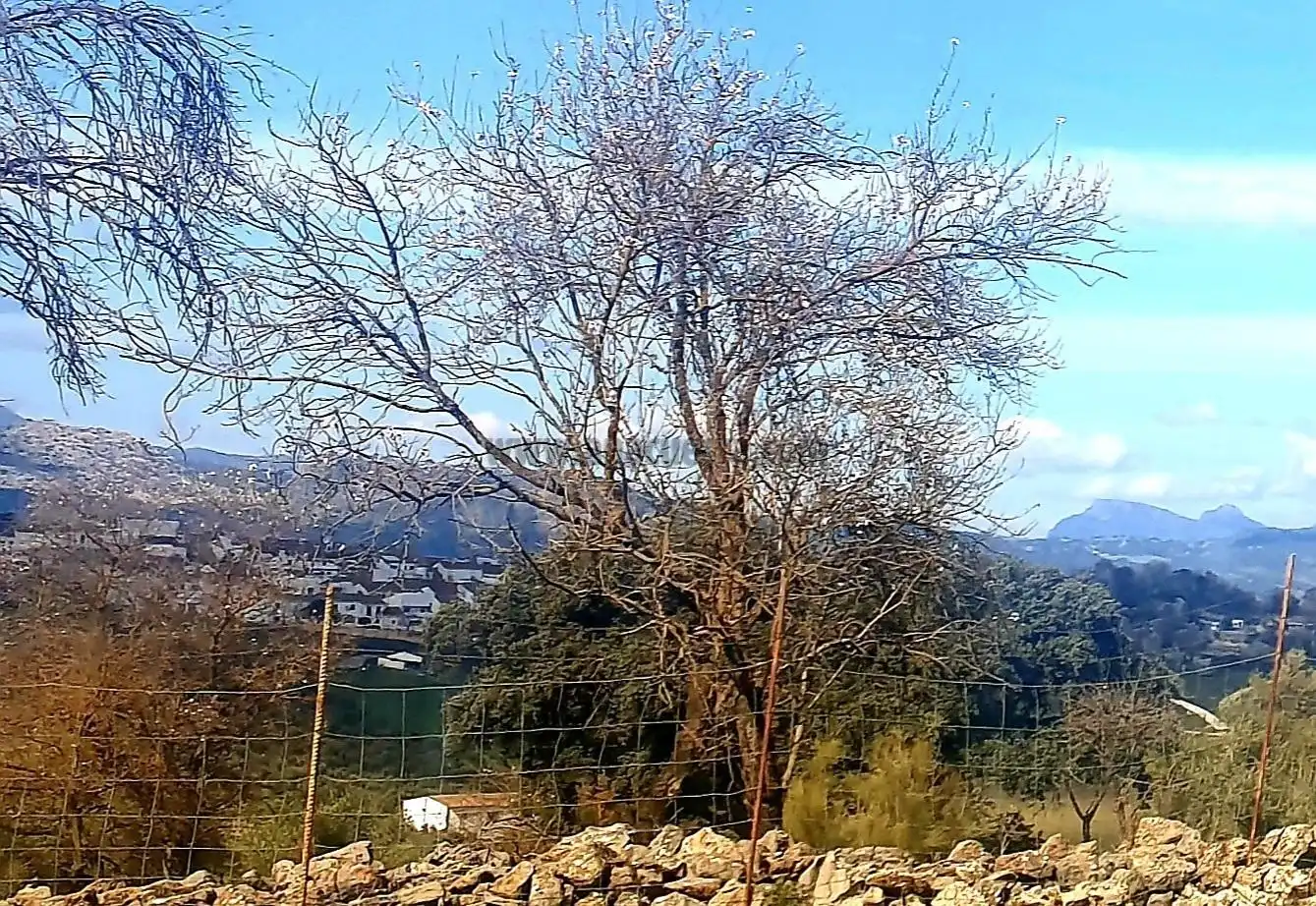 Terrenys i solars en venda a La Planilla, Cra. A-6300, imagen 20