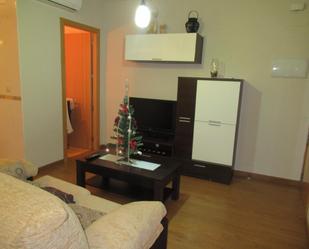 Sala d'estar de Estudi en venda en Plasencia
