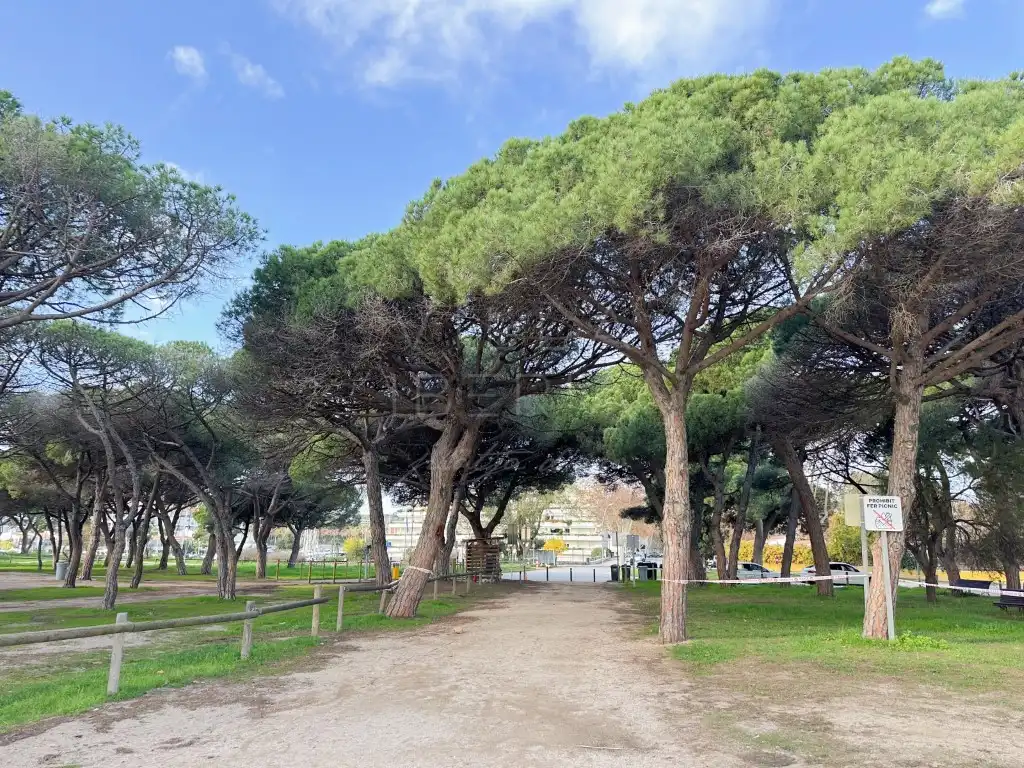 Apartment with lift for sale in Platja d'Aro, imagen 38