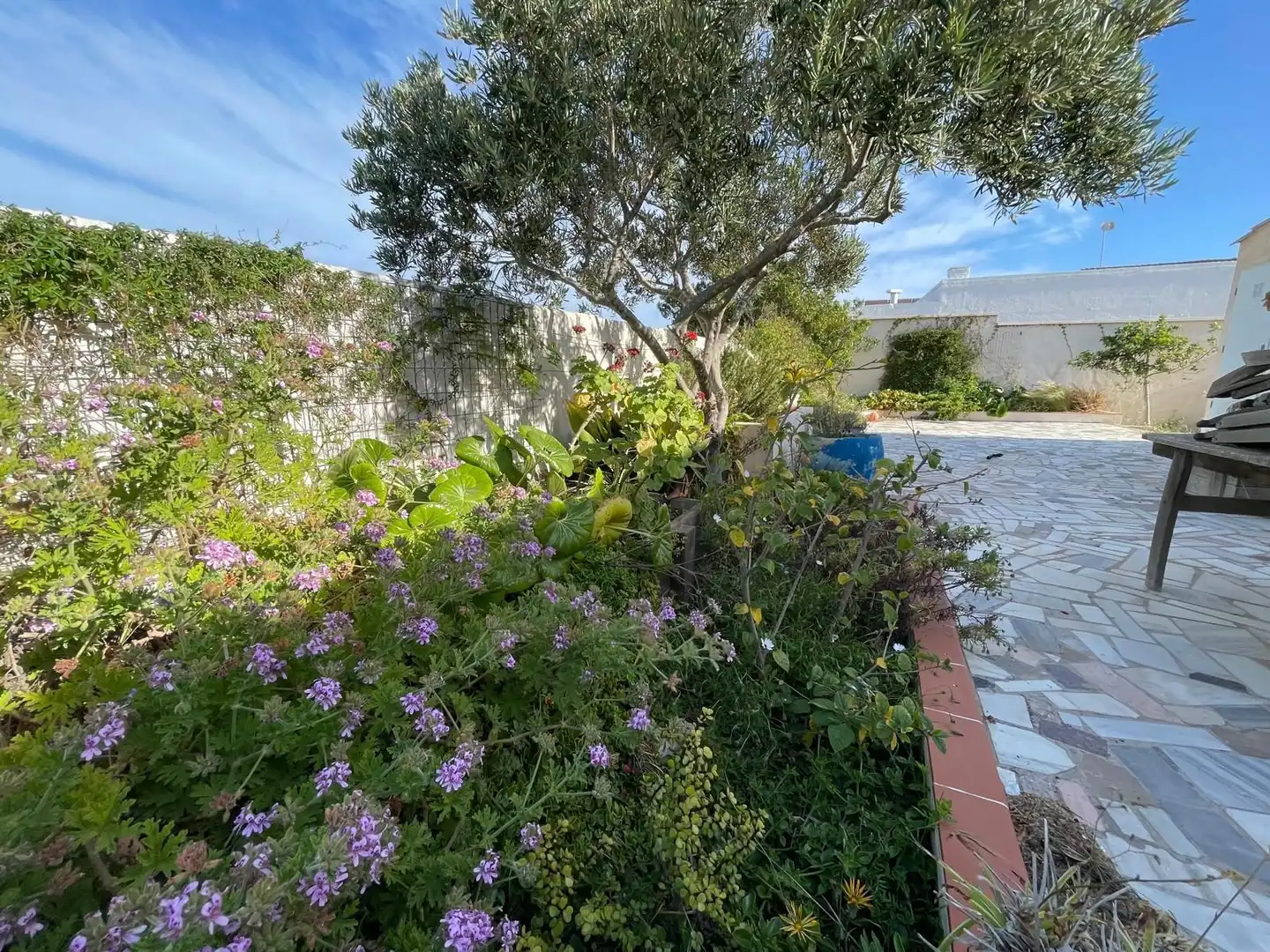 Jardín de Casa o chalet en venta en El Ejido con Jardín privado y Piscina