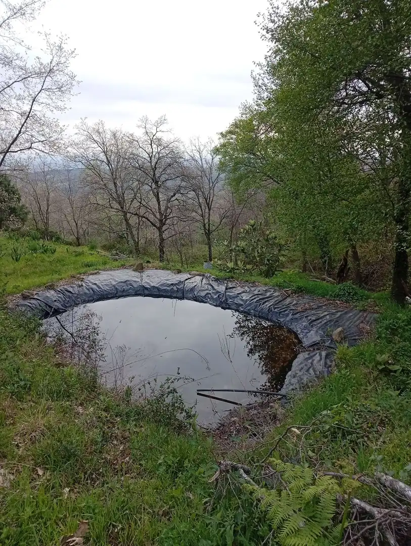 Terreni e lotti in vendita a Valverde de la Vera, imagen 102