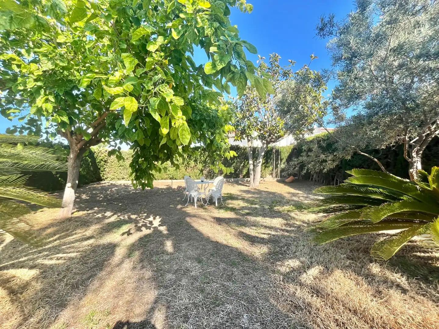 Jardí de Casa o xalet en venda en Torrevieja amb Aire condicionat, Calefacció i Jardí privat