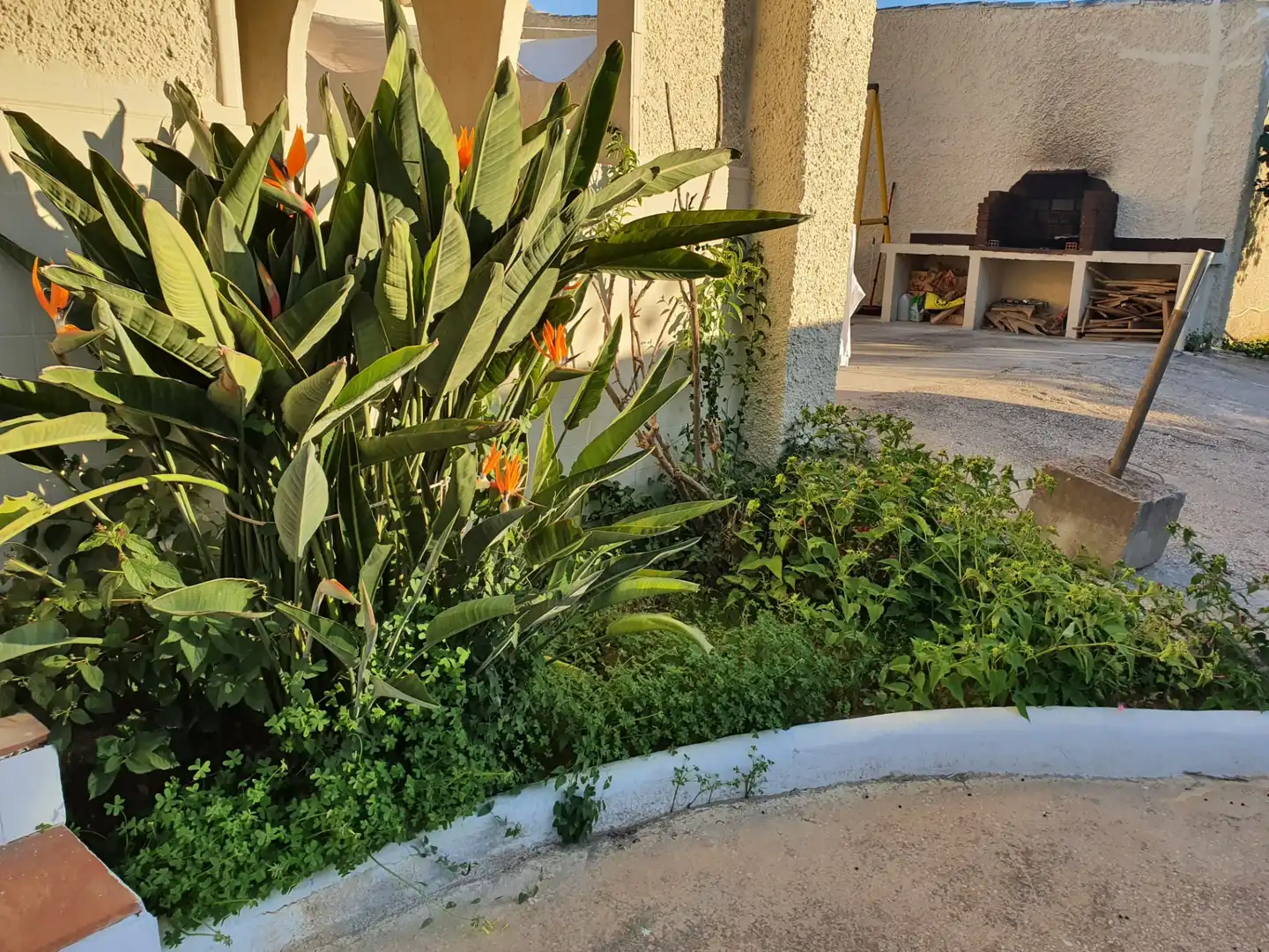 Casa rústica con piscina en venta en Buenavista - Lauro Golf, imagen 4
